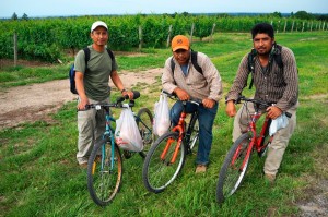 three-mexican-workers  